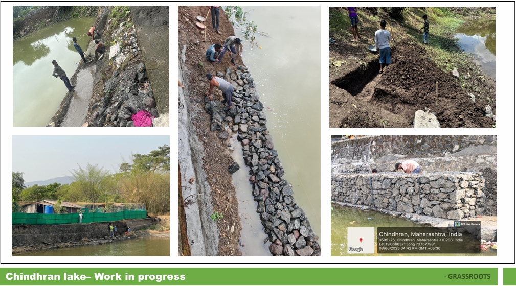 IGSSS Project Background